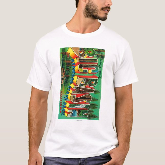 T-shirt Grand bassin, la Californie - grandes scènes de (Devant)