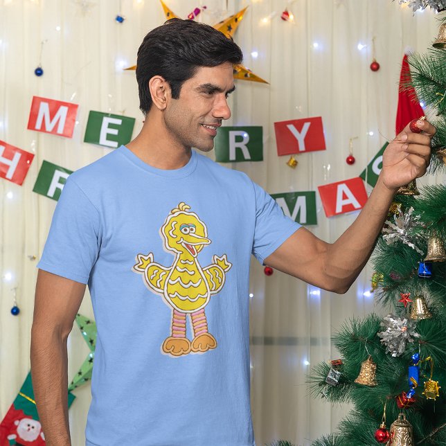T-shirt Grand Biscuit d'oiseau (Person wearing shirt)