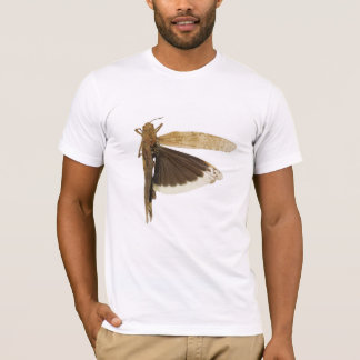 T-shirt Grand magasin Carolina