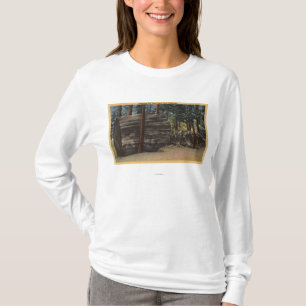 T-shirt Grand parc d'état d'arbres de Calaveras