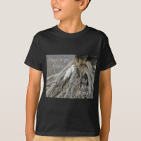 Grande aigrette (Ardea alba) OBX Banques extérieur