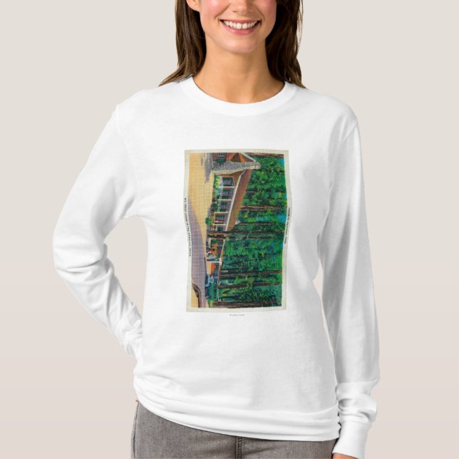T-shirt Grande loge d'arbres dans le verger de Mariposa (Devant)