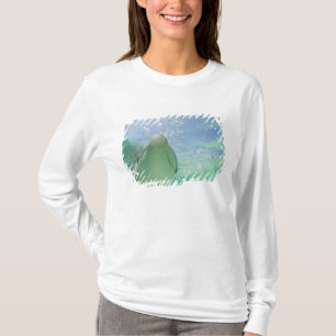 T-shirt Grands dauphins Tursiops truncatus)