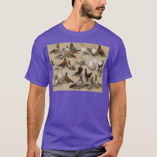 T-shirt Graphique 2 Races de pigeons