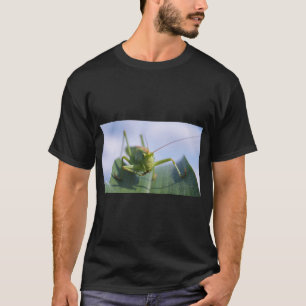 T-shirt Graphisme de la nature sauterelle