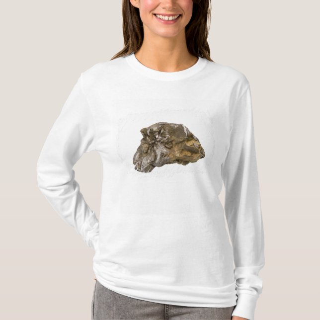 T-shirt Graphite, Danville, Vermont, Etats-Unis (Devant)