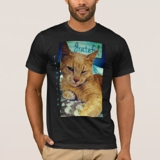T-shirt Gratty Cat