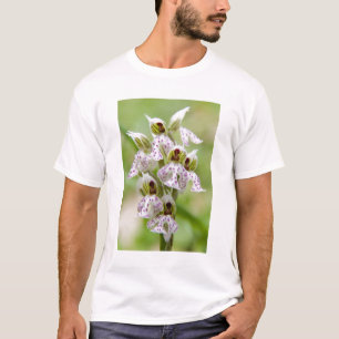 T-shirt Grèce, Crète. Orchidée en fleurs Orchis