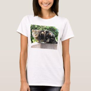 T-shirt Gremlin le chat tabby