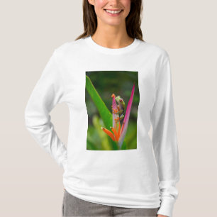 T-shirt Grenouille aux yeux rouges, Costa Rica