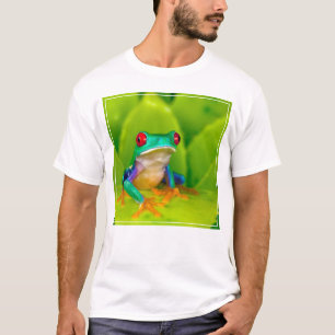 T-shirt Grenouille aux yeux rouges, Costa Rica