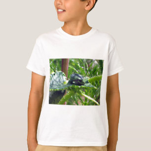 T-shirt Grenouille d'anniversaire