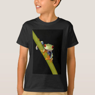 T-shirt grenouille d'arbre observée par rouge