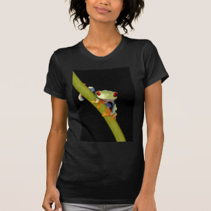 T-shirt grenouille d'arbre observée par rouge