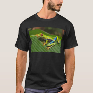 T-shirt Grenouille des arbres
