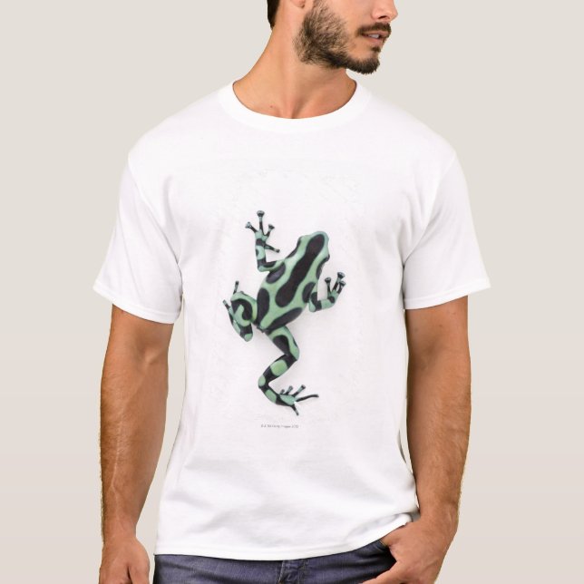 T-shirt Grenouille noire et verte 2 de dard de poison (Devant)