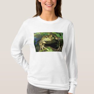 T-shirt Grenouille taureau.