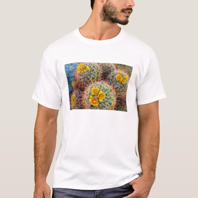 T-shirt Gros cactus baril, Californie (Devant)