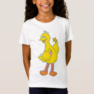 T-Shirt Gros Oiseaux tenant des ornements de Noël