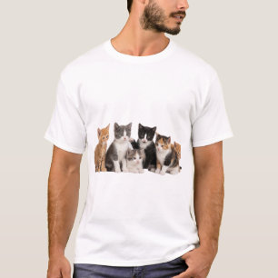 T-shirt Groupe de chatons mignons et duveteux Autocollant