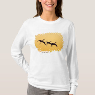 T-shirt Grue du Canada atterrissant au coucher du soleil