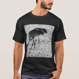 T-shirt Grues Sand Hill