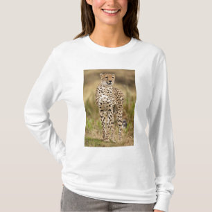T-shirt Guépard, Acinonyx jubatus, dans le Masai Mara