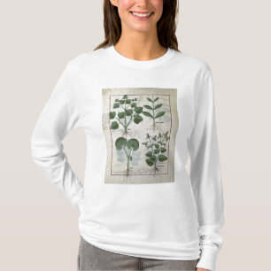 T-shirt Guimauve et Hastula Regia Asarabacca et