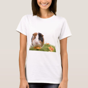 T-shirt guinea pigs on a lawn