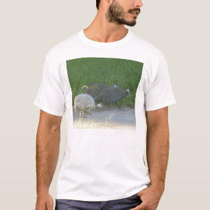 T-shirt Guinée Fowl