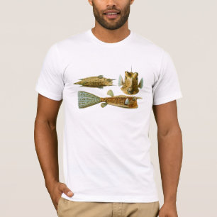 T-shirt Haeckel Fish