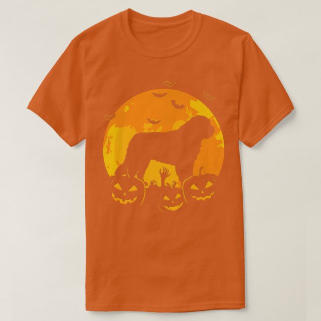 T-shirt Halloween St  (Design devant)