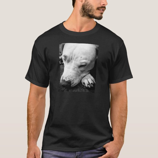 T-shirt harry potier cicatrice chien blanc pit bull (Devant)