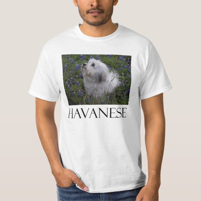 T-SHIRT HAVANESE (Devant)