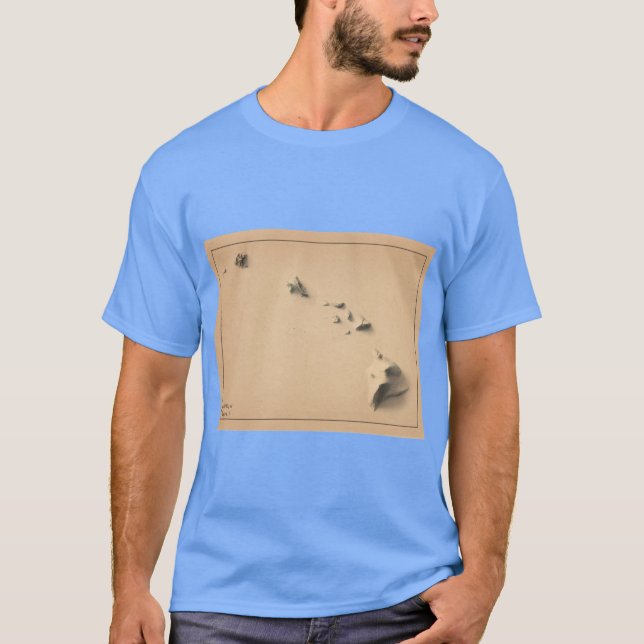 T-shirt Hawaii Shaded Relief Map 3D numériquement rendu (Devant)