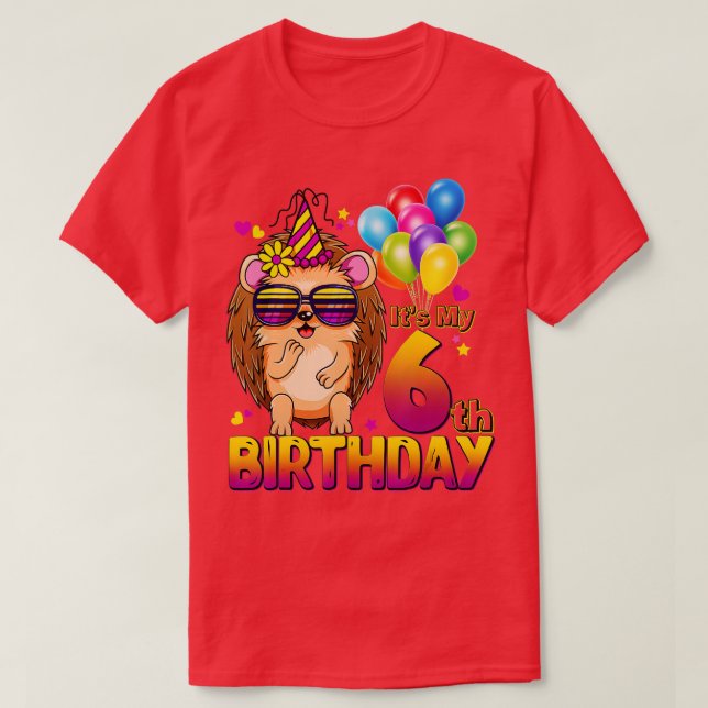 T-shirt Hedgehog 6th Birthday Shirt 6 Years Old Hedgehog B (Design devant)