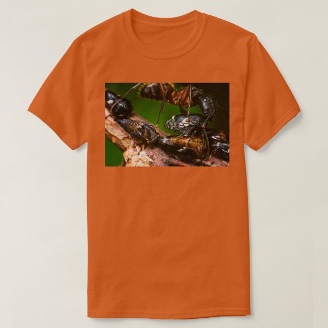 T-shirt Hespérie d'élevage de fourmis (Design devant)