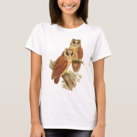 Hibou oriental de baie