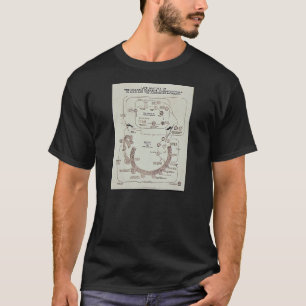T-shirt Histoire de vie du parasite de malaria Plasmodiume