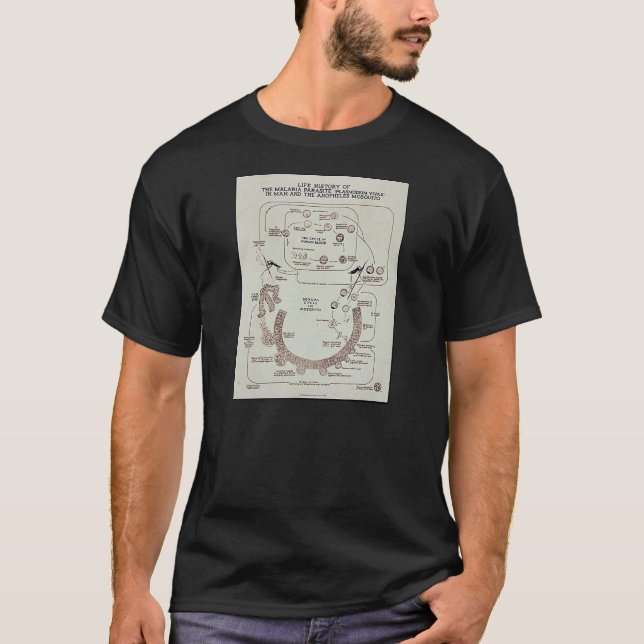 T-shirt Histoire de vie du parasite de malaria Plasmodiume (Devant)