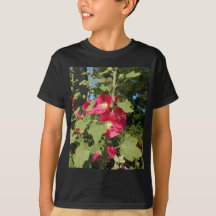 Hollyhocks roses
