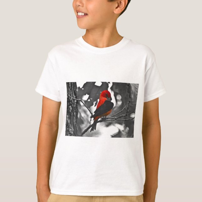 T-shirt Homme Scarlet Tanager (Devant)