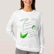 Horoscope d'anniversaire portable Gemini