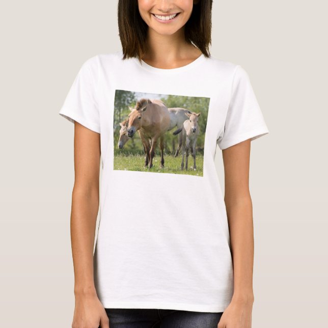 T-shirt Horse et foal walking (Devant)