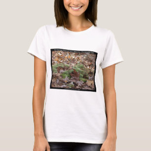 T-shirt Hot Springs National Park, AR - Honeysuckle Trail
