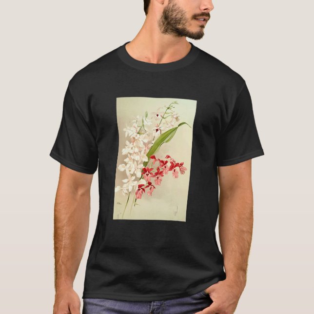 T-shirt Hybrid Calanthes Victoria Regina Bella Burfordiens (Devant)