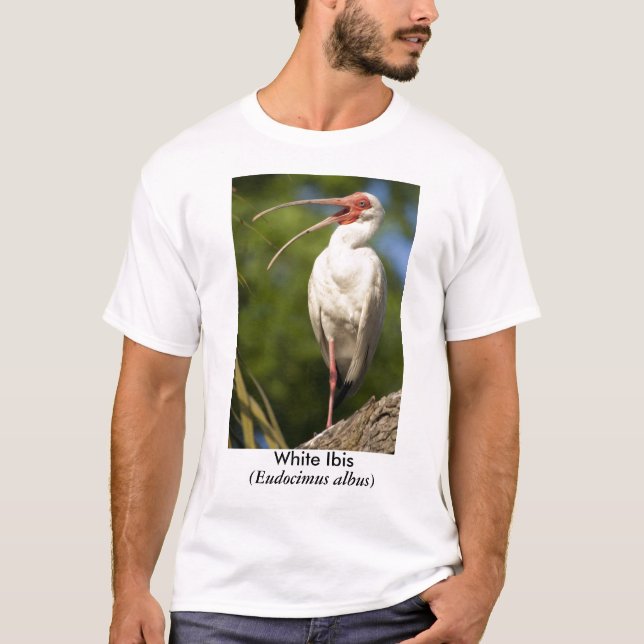 T-shirt IBIS blanc, (Eudocimus… (Devant)