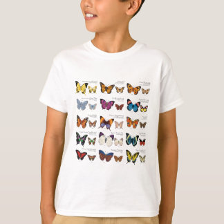 T-shirt Identification de papillon