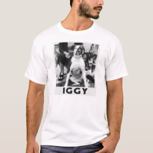 T-SHIRT IGGY !