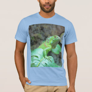 T-shirt iguane vert